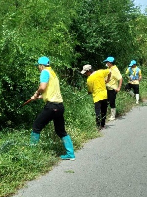 จิตอาสา ร่วมทำความสะอาด และกำจัดวัชพืช ตัดต้นไม้สองของทาง เฉลิมพระเกียรติ เนื่องในวันเฉลิมพระชนมพรรษา วันที่ 28 กรกฎาคม พ.ศ. 2562
