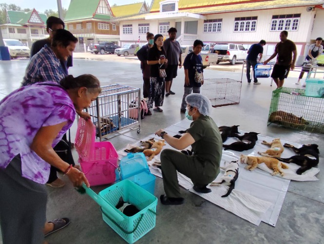 โครงการสัตว์ปลอดโรค คนปลอดภัยจากโรคพิษสุนัขบ้า 4 เม.ย. วัดบางหัก