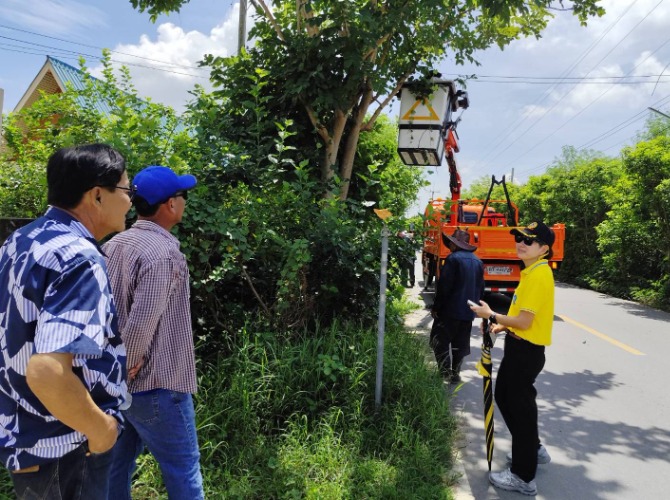 ปรับปรุงภูมิทัศน์ ตัดกิ่งไม้บริเวณถนนสายเกาะลอย-หนองอ้อ