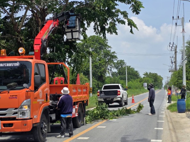 ตัดกิ่งไม้บริเวณแยกโดมอเนกประสงค์ และริมถนนสายหลัก ต.เกาะลอย