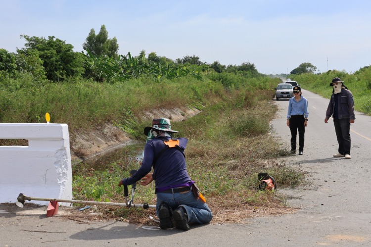 ทาสีสะพาน ติดป้ายสะท้อนแสง ถางต้นไม้ บริเวณทางแยกถนนเลียบคลองชลประทาน หมู่ 3 จรด หมู่ 4 ต.เกาะลอย
